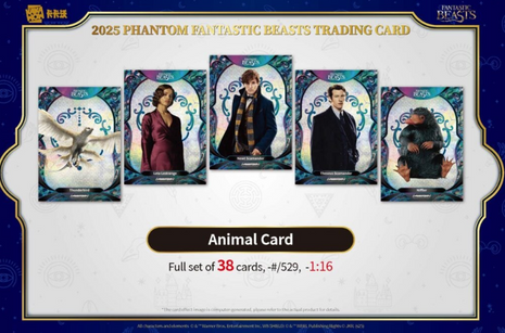 2025 Kakawow Fantastic Beasts Phantom Hobby Box